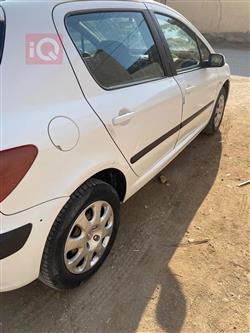 بیجۆ 307